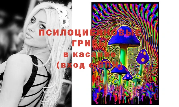 мдма Богданович