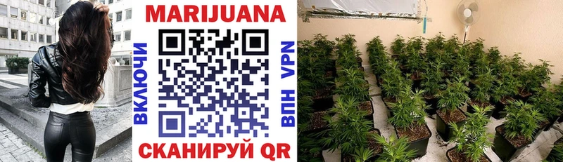 Купить закладки  Мосальск  Бошки Шишки семена 